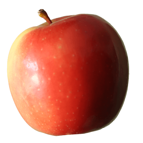 Meet Rockit Apple Your Favourite On The Go Snack Rockit Apple Meet Rockit Apple Your Favourite On The Go Snack Rockit Apple