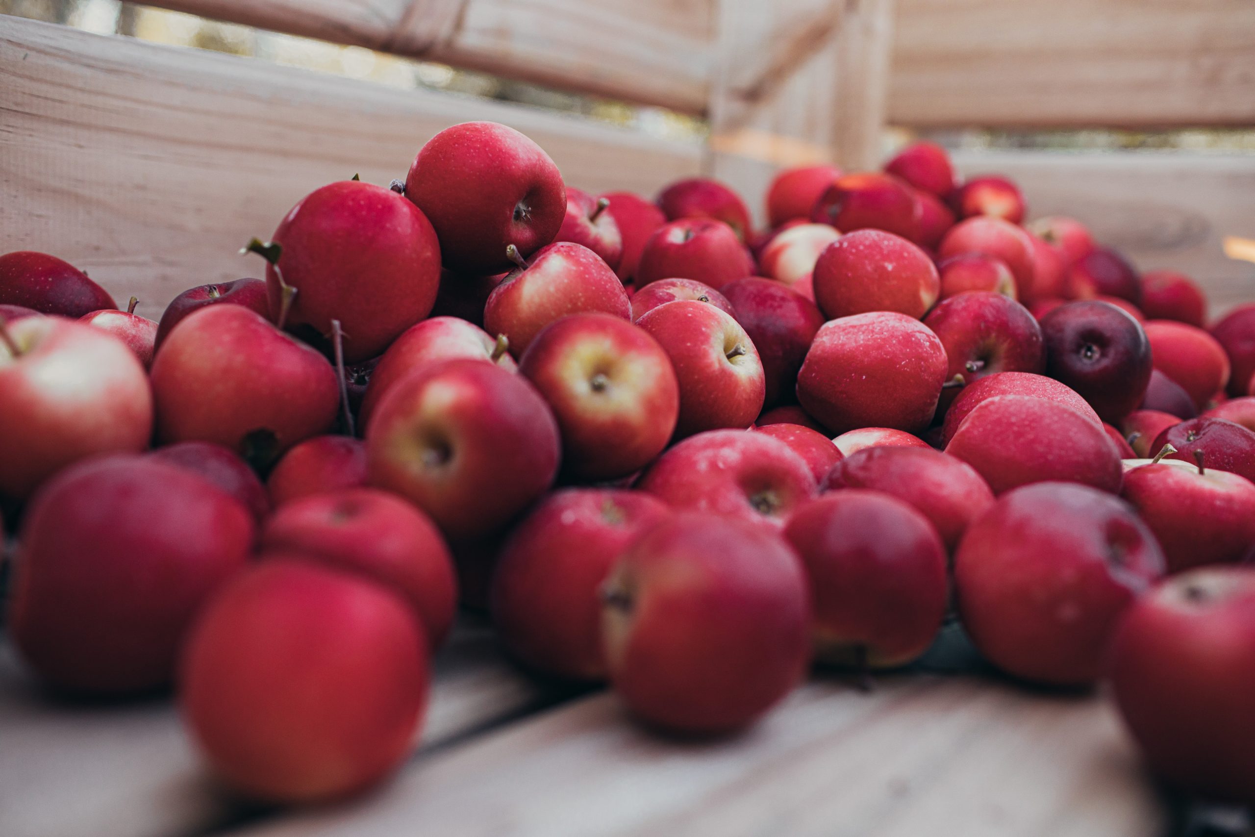 Apple Orchard Careers!