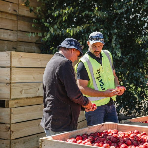 Permanent Orchard Hand and Leading Hands