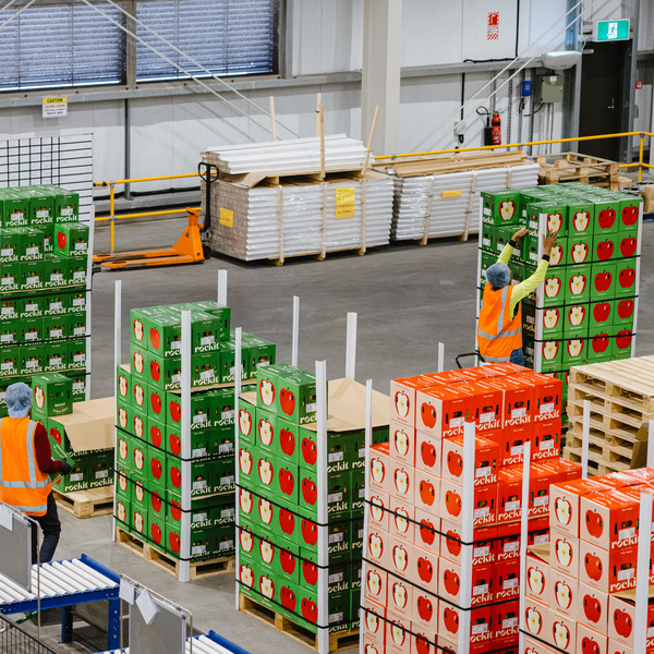 Packhouse Quality Lead 2IC Day Shift